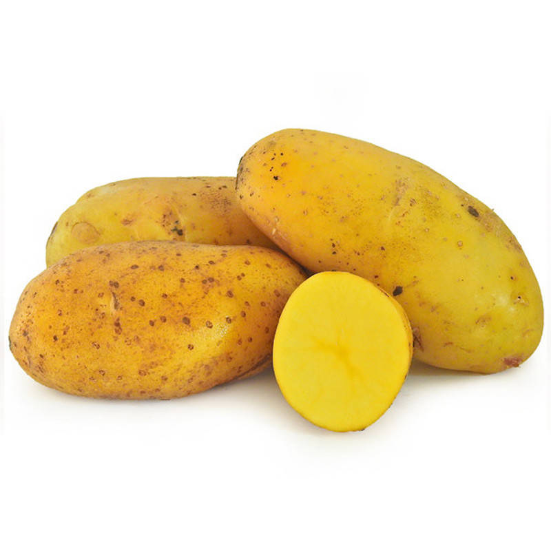 

Семенной картофель Гранада, Германия / Среднепоздний / 1я репродукция 5