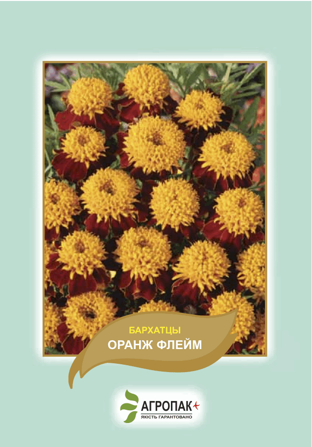 

Семена Бархатцы Оранж Флейм 0,5 грамма Legutko Агропак