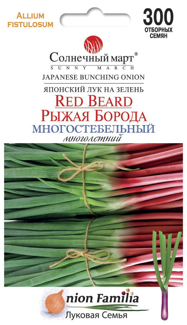 

Лук Рыжая борода, 300шт.