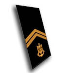 

Погоны-муфта парадные старшина 2й статьи, Синий