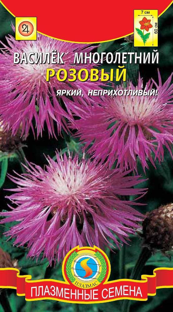 

Василек многолетний Розовый 10 шт (Плазменные семена)