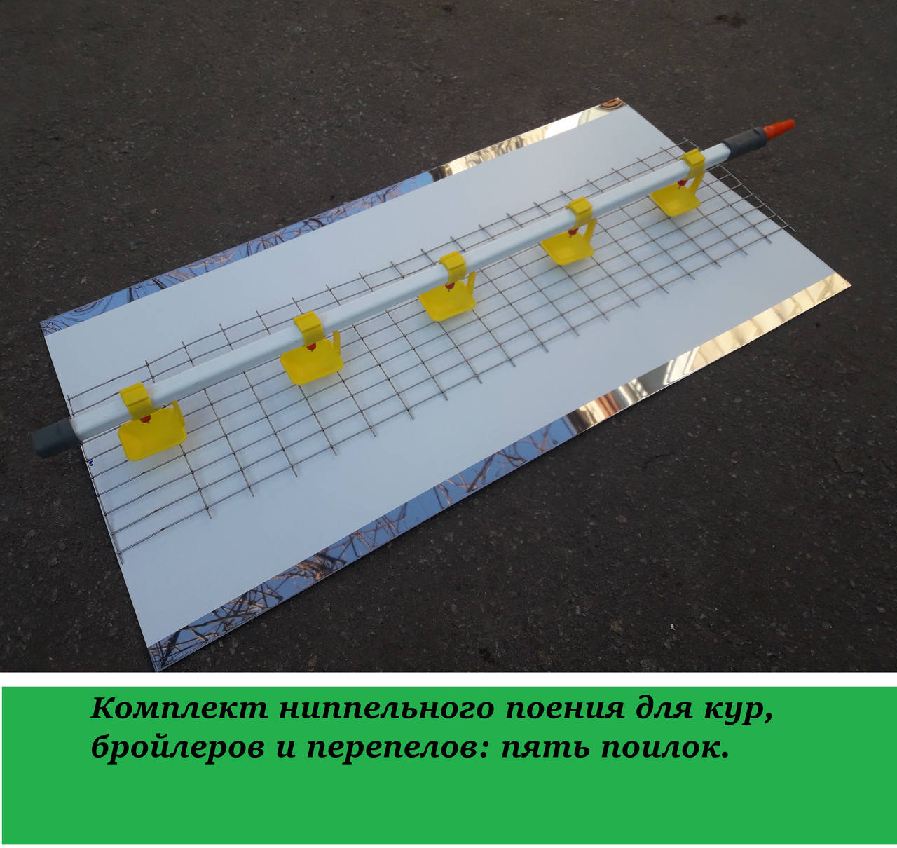 

Комплект ниппельного поения для кур,бройлеров и перепелов: пять поилок.
