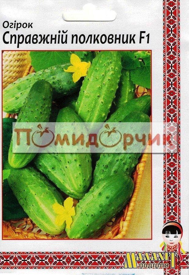 

Огурец Настоящий Полковник семена