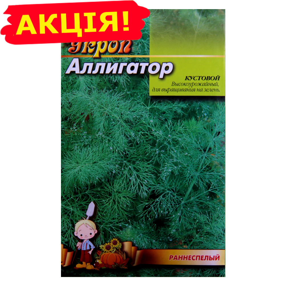 

Укроп Аллигатор кустовой семена, большой пакет 20 г