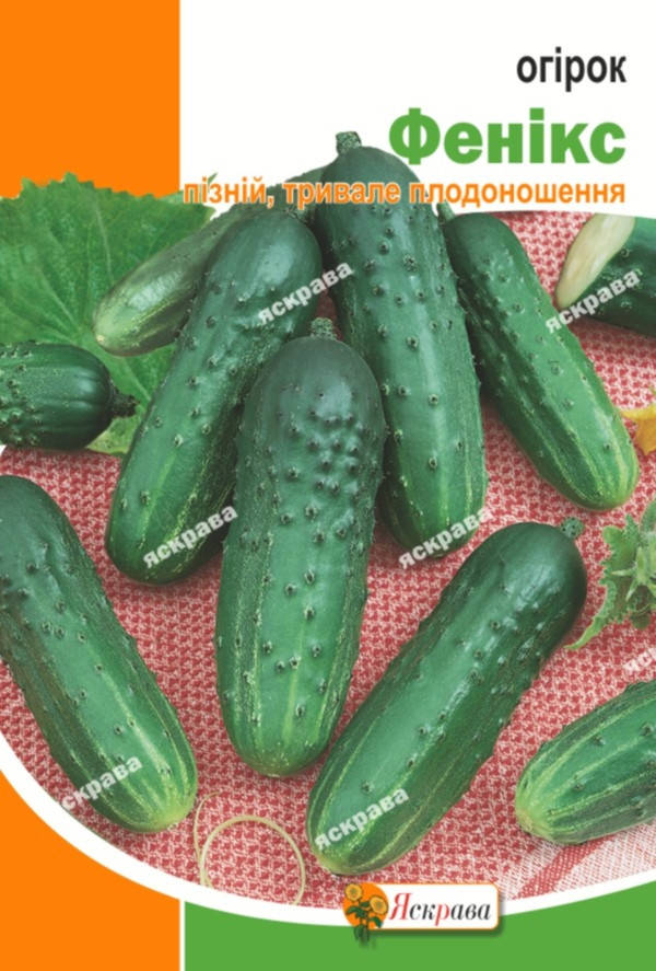 

Огурец Феникс плюс 10 г, семена Яскрава