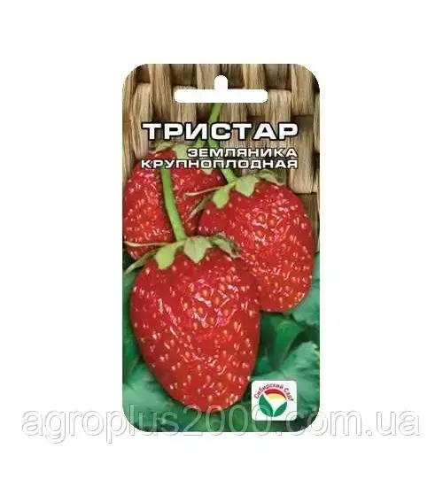 

Семена клубники Тристар 10 семян Сибирский Сад