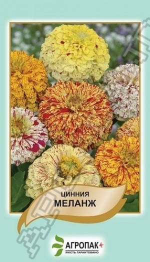 

Семена Цинния Меланж 0,5 грамма Legutko Агропак, Разные цвета