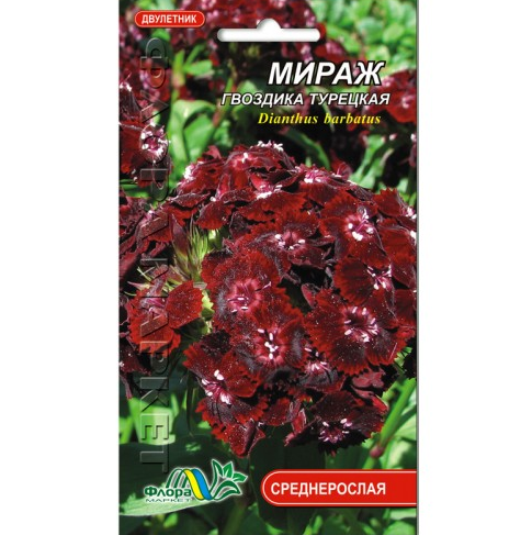 

Гвоздика турецкая Мираж, вишневая двулетнее растение, семена цветы 0.15 г