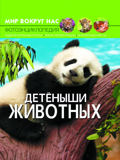 

Книга Мир вокруг нас. Детеныши животных | фотоэнциклопедия Бао