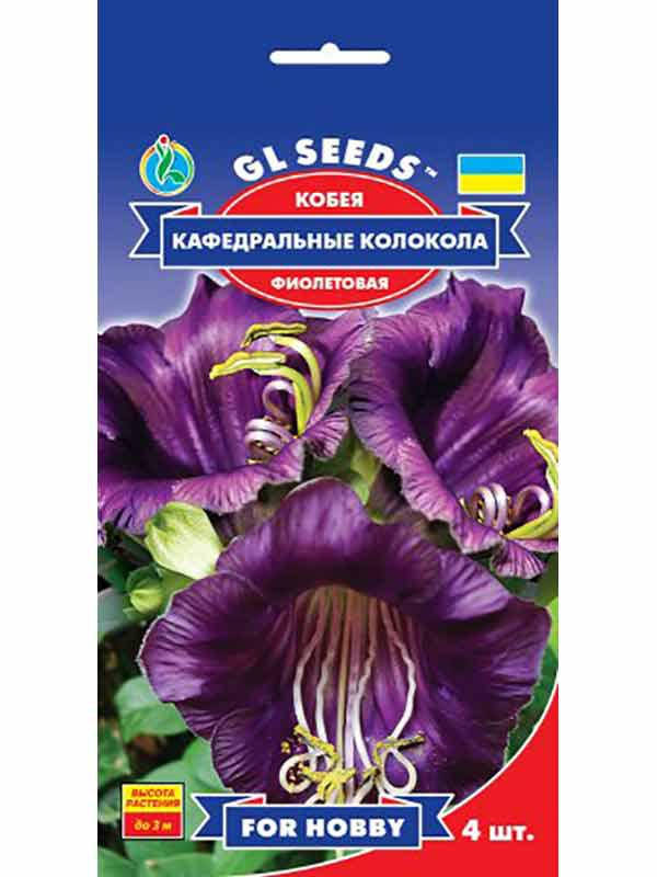 

Кобея Кафедральні колоколи 4 шт, GL Seeds, Фиолетовый