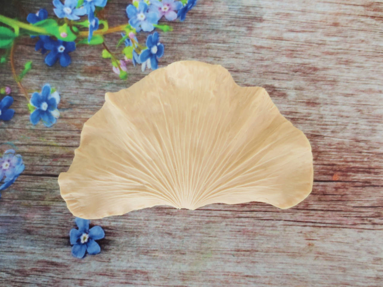 

Молд "Лепесток мака ХL" (р-р 9 х 5,5 см)