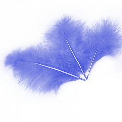 

Пір'я Фіолетові 10г, Фиолетовый