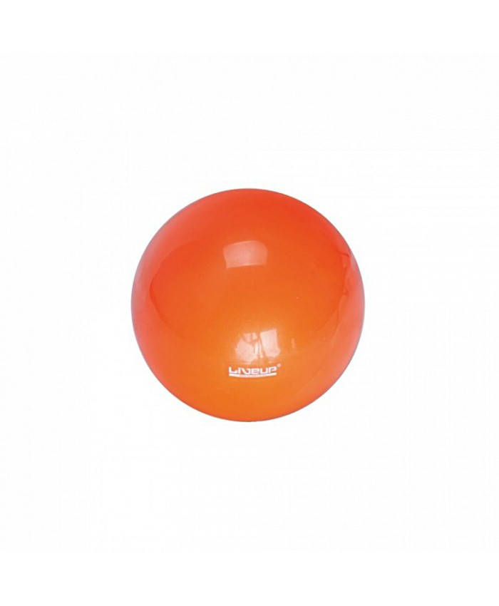 

Мяч гимнастический LiveUp Mini Ball 25 см (LS3225-25) Orange