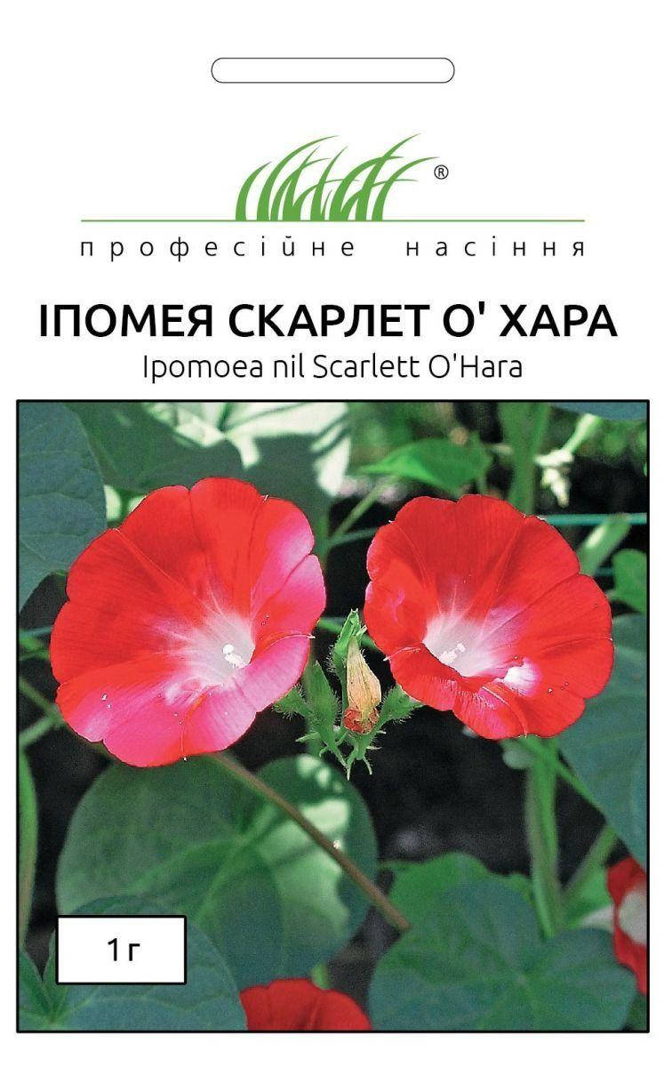 

Цветы Ипомея Скарлет О"Хара 1 гр. 121864