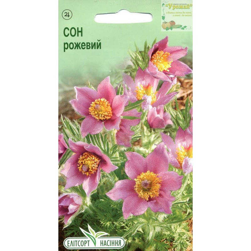 

Семена цветы Прострел розовый, 0,05 г