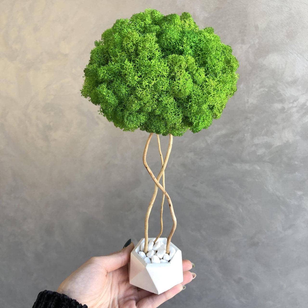 

Дерево со стабилизированым мхом MiNature Moss 30 см