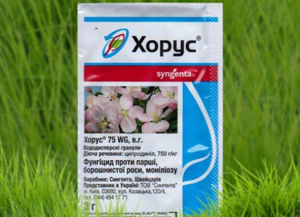 

Фунгіцид Хорус 3г Syngenta
