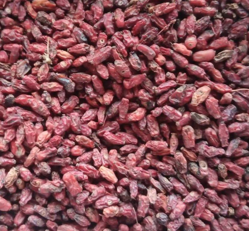 

Барбарис красный 1 кг сушеная ягода