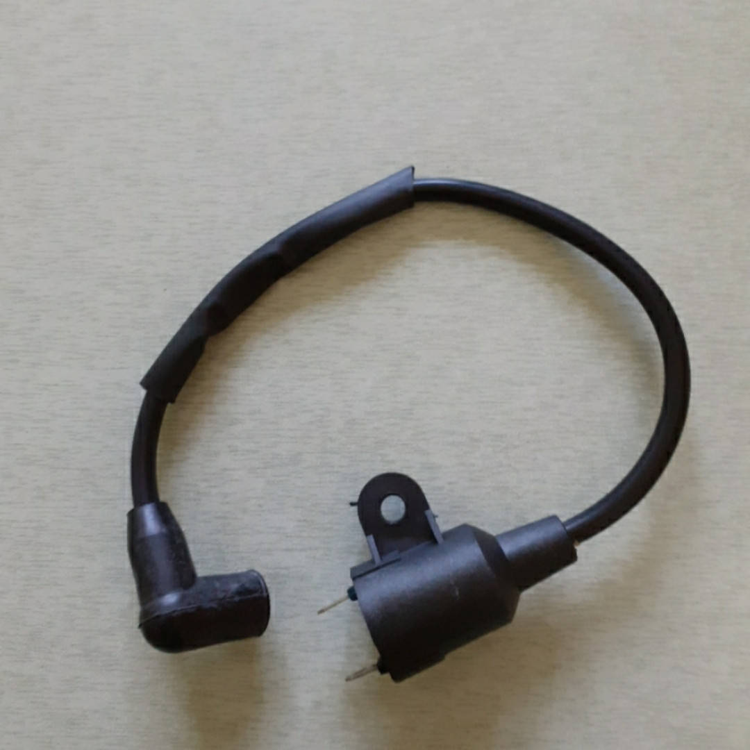 

Катушка зажигания бензогенератора Einhell 950 (0,6-1 кВт)