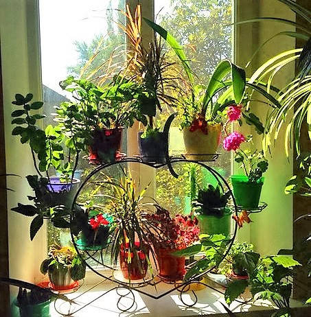 

Подставка для цветов на 11 чаш "Сердце-5"