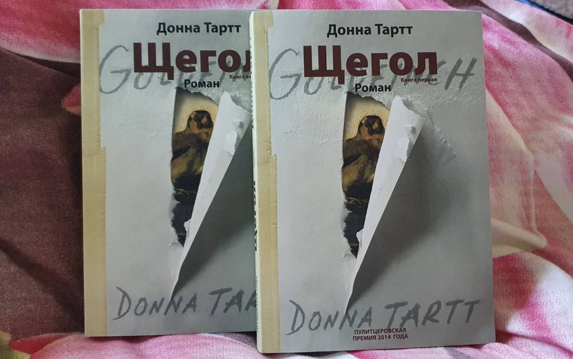 

Щегол - Донна Тартт (мягкий переплет)