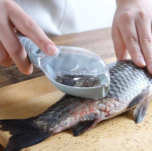 

Скребок для чистки рыбы, рыбочистка ручная с контейнером fishman