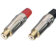

Тюльпан (RCA) мама GCD401