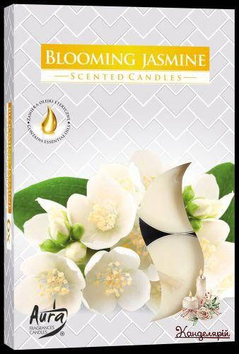 

Свечи чайные ароматические (таблетки) Blooming jasmine, Белый