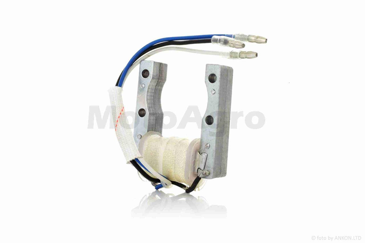 

Генератор (статор) веломотора 2T F80