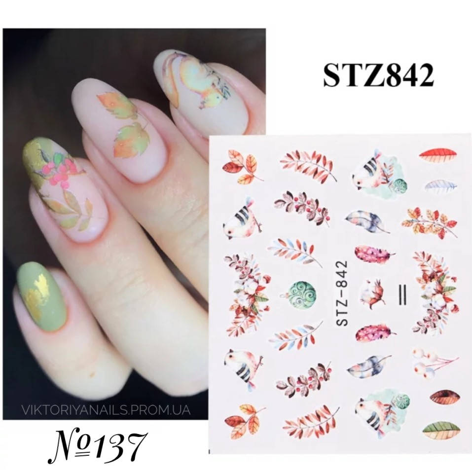 

Слайдер- дизайн №137(STZ-842)