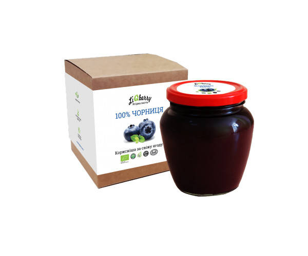

Черничная паста LiQberry 550 мл