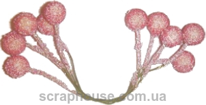 

Ягоды фрезовые в сахаре