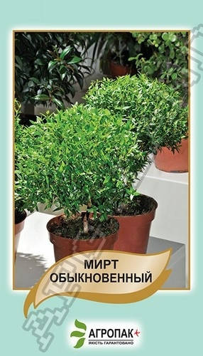 

Мирт обыкновенный - 20 семян А