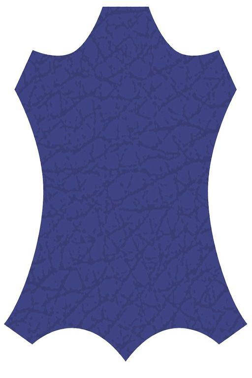 

Краска для кожи KENDA FARBEN TOLEDO SUPER, кобальт, 100 мл. (33045)