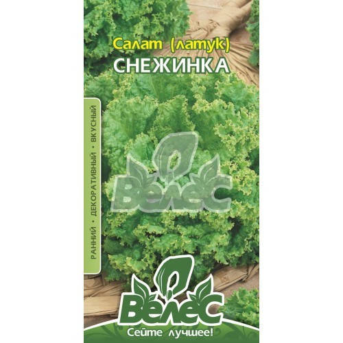 

Семена салата Снежинка 1г ТМ ВЕЛЕС