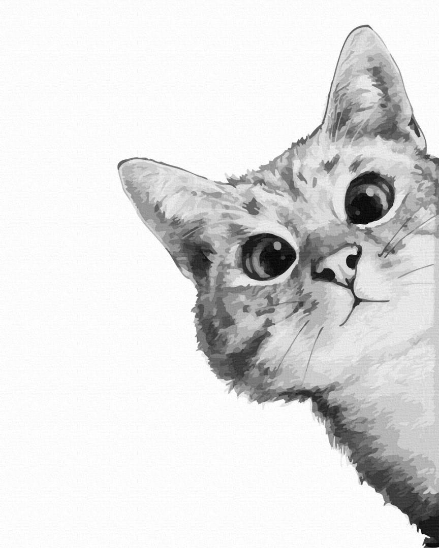 

Картина по номерам Brushme Котик в засаде OG517 40x50 см