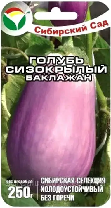 

Семена Баклажан Голубь Сизокрылый 20 семян Сибирский Сад