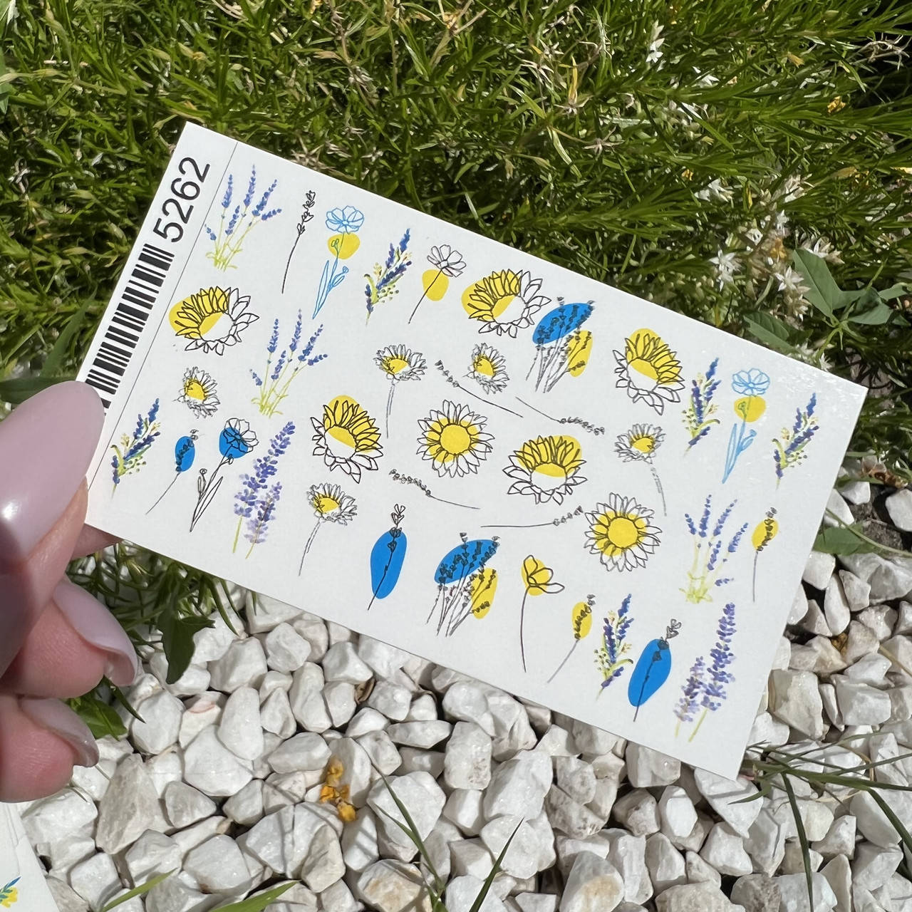 

Слайдер 5262