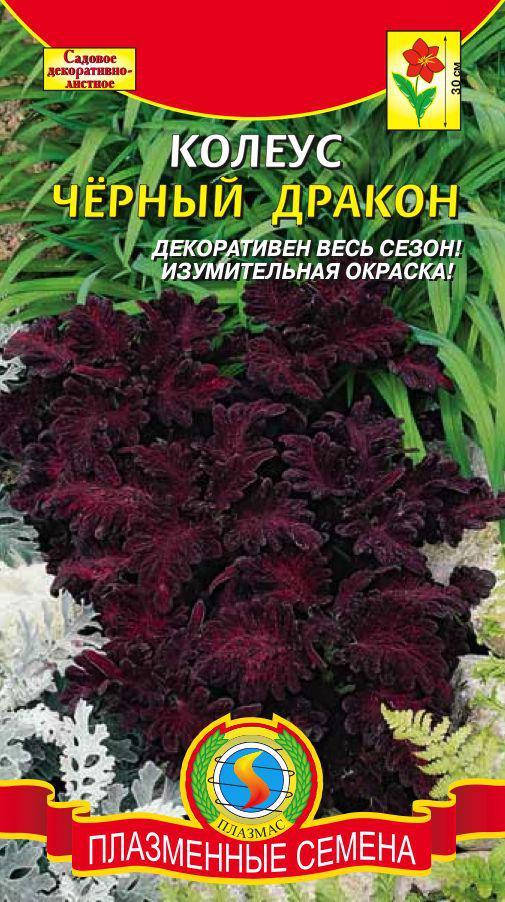 

Колеус Черный дракон 10 шт (Плазменные семена)