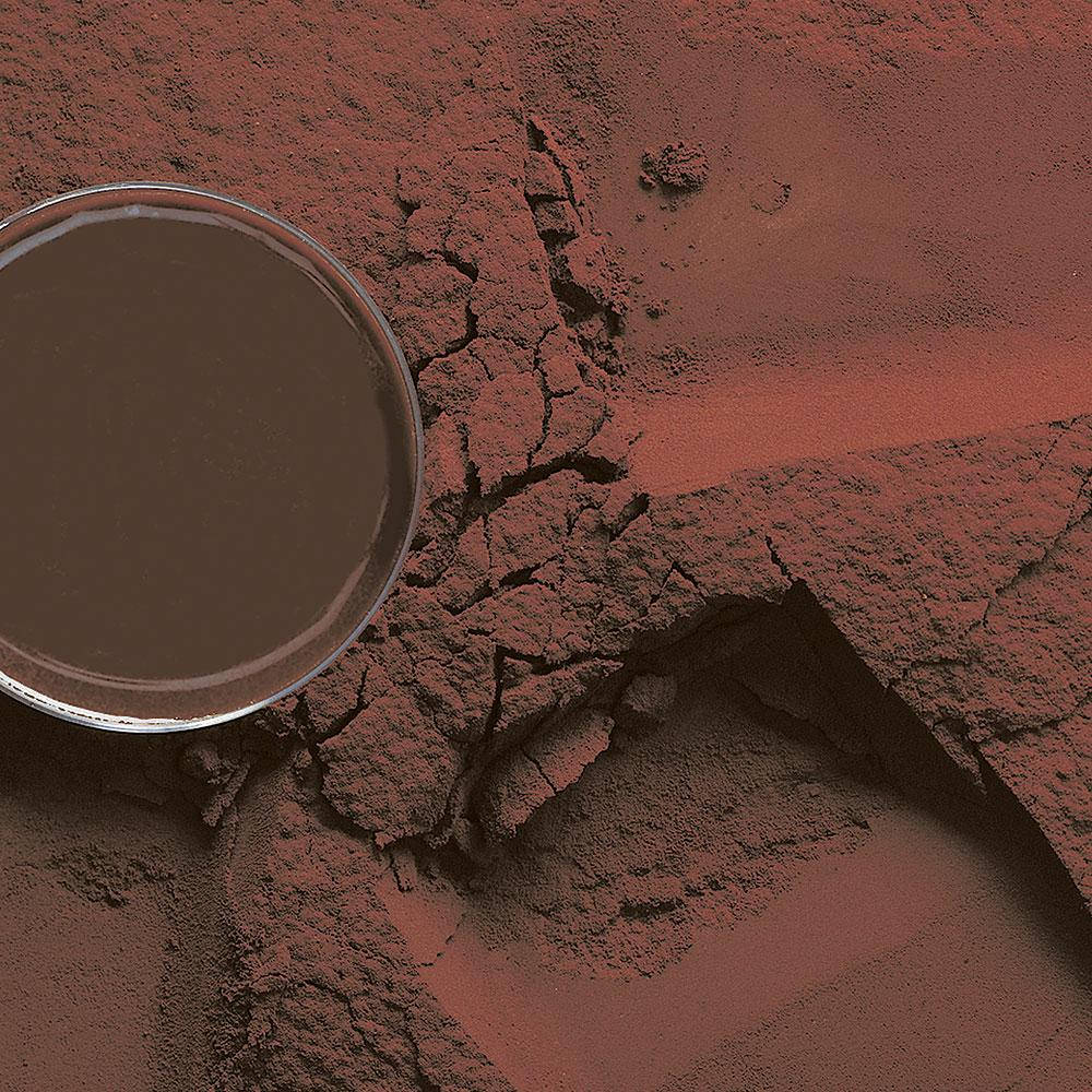

Какао порошок алкализированный 10/12% D102DRM 100 г, Barry Callebaut