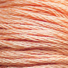 

Мулине СХС-3771