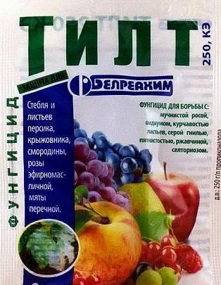 

Фунгицид Тилт, Белреахим, Беларусь, 2 мл (от болезней Винограда, Персика и т. д.)