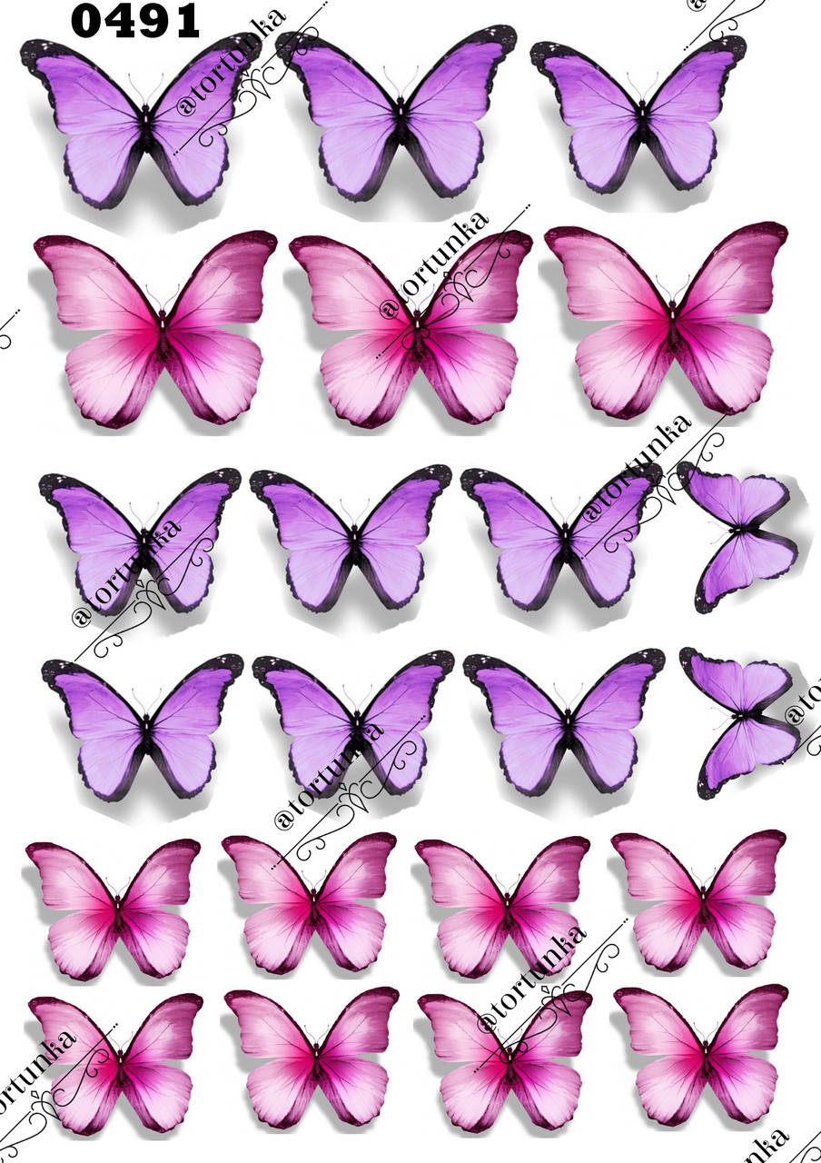 

Вафельна картинка з метеликами №0491