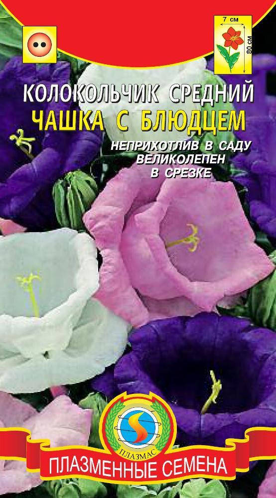 

Колокольчик средний Чашка с блюдцем 0,1 г (Плазменные семена)