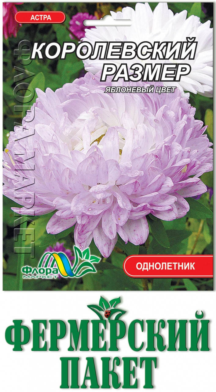 

Астра Королевский размер яблоневый цвет (большой пакет)