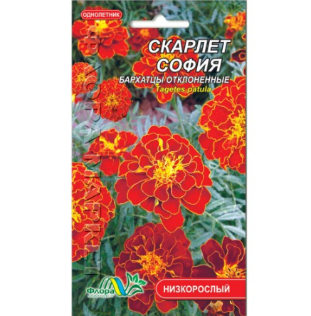 

Бархатцы Скарлет София отклоненные цветы однолетние, семена 0.1 г