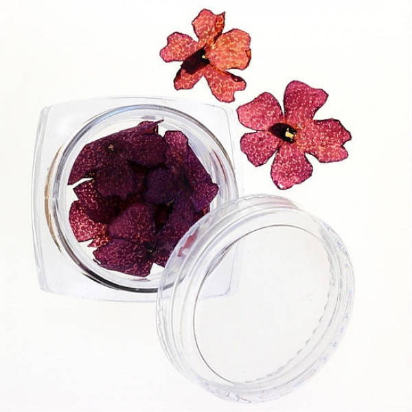 

Сухоцветы №33, Фиолетовый