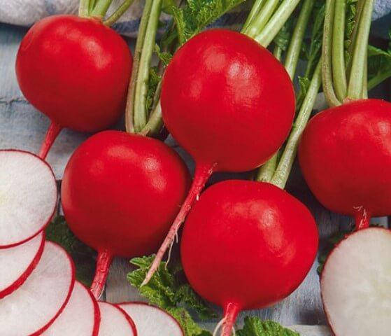 

Семена редиса Престо 10 грамм (развес)