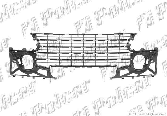 

Решетка бампера переднего (центр) Peugeot 307 05-07, Черный