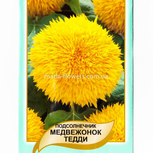 

Семена Подсолнечник Мишка Тедди 1 г